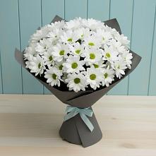 Букет белые хризантемы #REPLACE_PRED# Обшаровка Букет цветов из:  Хризантемы #REPLACE_PRED# Обшаровка