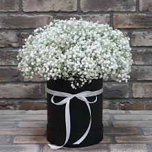 Композиция коробка гипсофил #REPLACE_PRED# Обшаровка Цветочная композиция из Гипсофила в шляпной коробке #REPLACE_PRED# Обшаровка